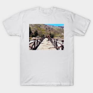 bigfoot bridge crossing T-Shirt